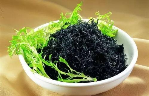 紫菜制作爆料视频教程全集,从零开始，轻松学会紫菜美食制作全过程